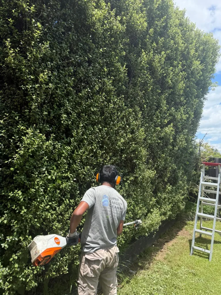 DIY Garden Care vs Professional Garden Maintenance
