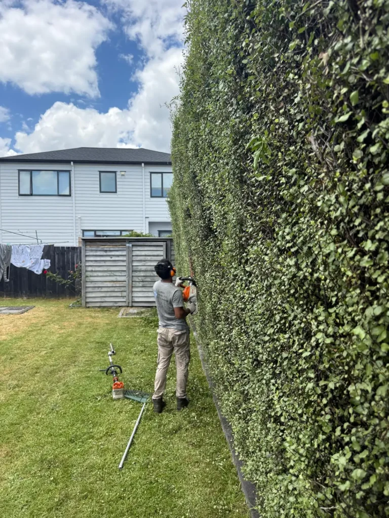 DIY Garden Care vs Professional Garden Maintenance