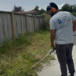 DIY Garden Care vs Professional Garden Maintenance