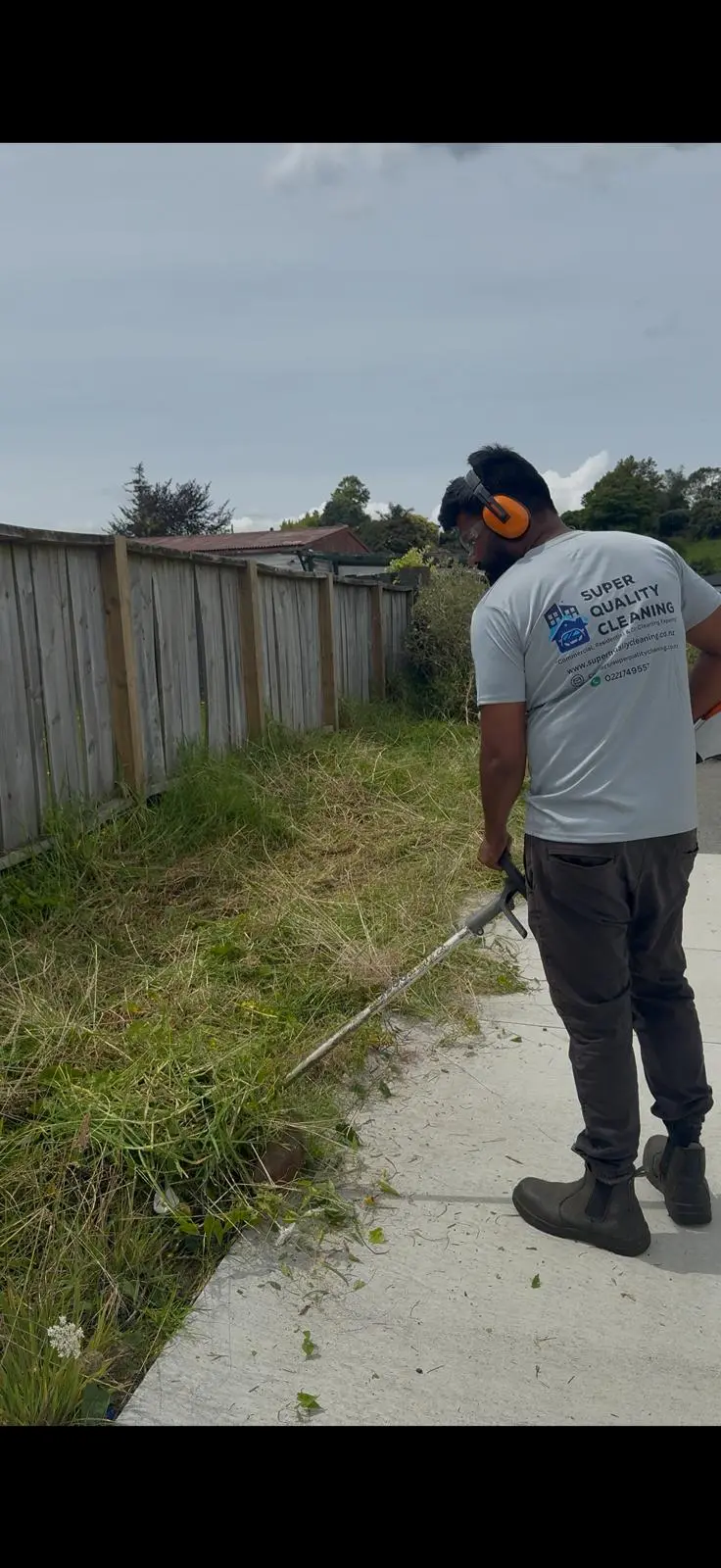 DIY Garden Care vs Professional Garden Maintenance