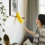 Experience Superior Shine with Auckland’s Leading Cleaning Experts