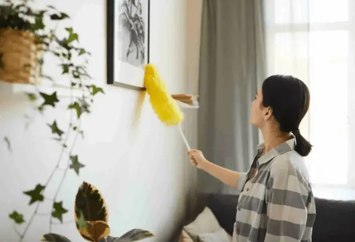 Experience Superior Shine with Auckland’s Leading Cleaning Experts