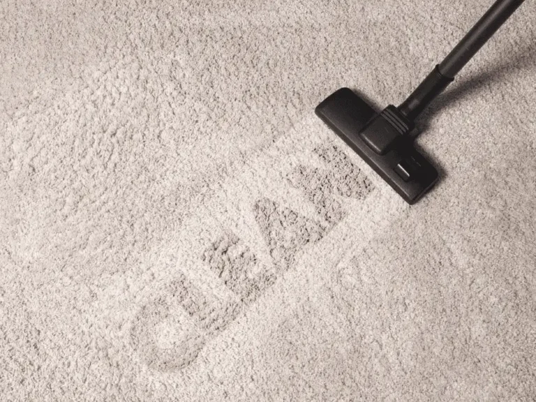 Carpet Cleaning in New Zealand: How Often Should Homes Do It?