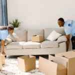 Move In Move Out Cleaning Auckland