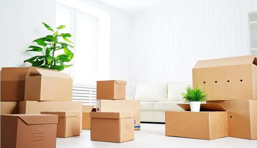 Move in Move Out