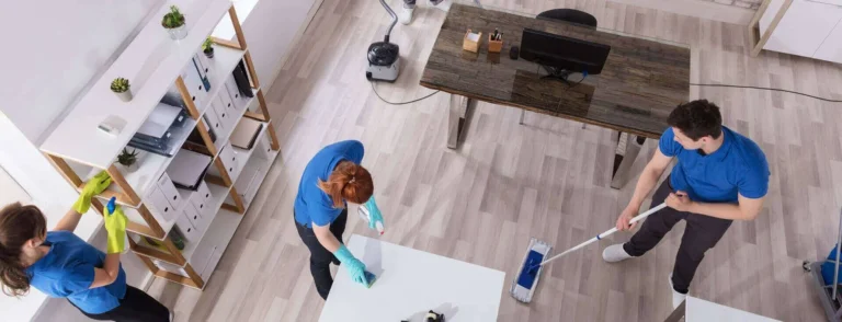 Professional House Cleaning Services in Auckland — Everything You Need to Know